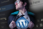 Gezocht: WordPress-held