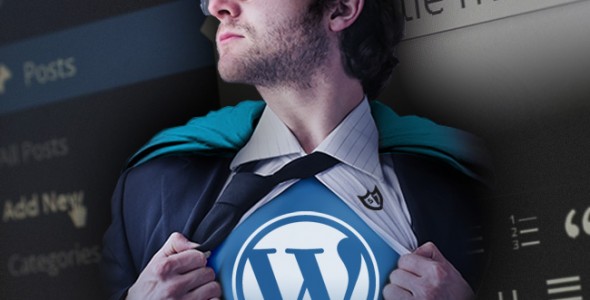 Gezocht: WordPress-held